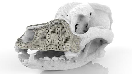 renishaw news Image