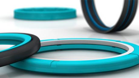 seals-shop news Image