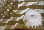 Eagle head Flag web.jpg