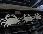 Click image for larger version. 

Name:	crabpic.jpg 
Views:	2 
Size:	86.8 KB 
ID:	189264