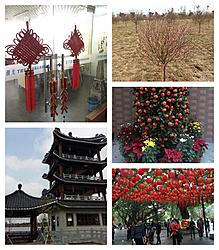 Click image for larger version. 

Name:	Chinese New Year.jpg 
Views:	0 
Size:	206.3 KB 
ID:	271132