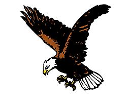 FB Eagle logo copy.jpg