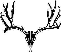 Deer-Skull.jpg