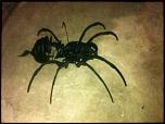 Click image for larger version. 

Name:	spider metal art.jpg 
Views:	37 
Size:	62.5 KB 
ID:	161155
