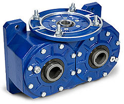 Click image for larger version. 

Name:	tramec-double-output-worm-gear-motor.jpg 
Views:	0 
Size:	36.7 KB 
ID:	228296