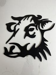 cow 1.jpg