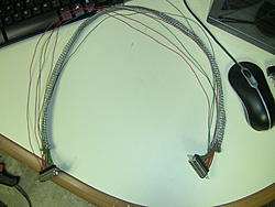 scale_cable 013.jpg