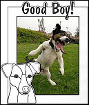 Jack_Russell - Good_Boy2.png