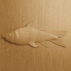 killer lumber fish.jpg